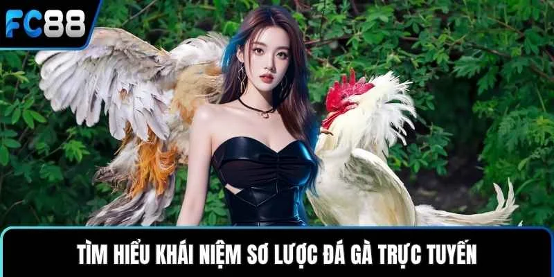 Tìm hiểu khái niệm sơ lược đá gà trực tuyến